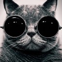 สมาชิกหมายเลข 828524