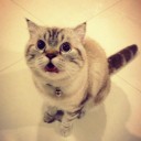 สมาชิกหมายเลข 828552