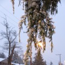 สมาชิกหมายเลข 828801