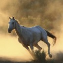 สมาชิกหมายเลข 828830