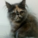 สมาชิกหมายเลข 3296928