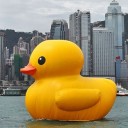 คนกรุ๊ปB