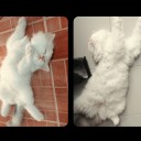 สมาชิกหมายเลข 789869