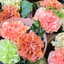 สมาชิกหมายเลข 810922