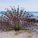 สมาชิกหมายเลข 829075