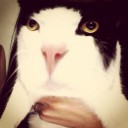 เพราะสิ่งนี้มี_สิ่งนี้จึงมี