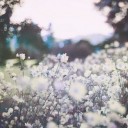 สมาชิกหมายเลข 1436143