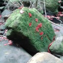 สมาชิกหมายเลข 1102379