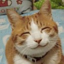 สมาชิกหมายเลข 2460395