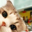 สมาชิกหมายเลข 2861125