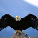 สมาชิกหมายเลข 759213