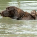 สมาชิกหมายเลข 792507