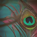 คุณลอร่า