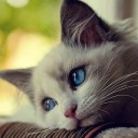 สมาชิกหมายเลข 2119257