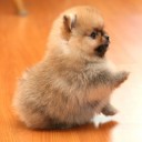 สมาชิกหมายเลข 826296