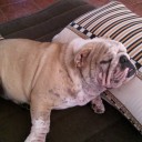 สมาชิกหมายเลข 830784