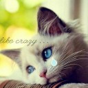 สมาชิกหมายเลข 830833