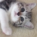 สมาชิกหมายเลข 1647594