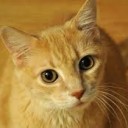 สมาชิกหมายเลข 2077626