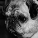 สมาชิกหมายเลข 2461173