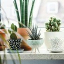 สมาชิกหมายเลข 3299368