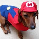 สมาชิกหมายเลข 1480188