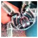 สมาชิกหมายเลข 1647973