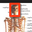 สมาชิกหมายเลข 2862402