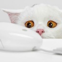 สมาชิกหมายเลข 3295691