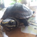 งามฟุ้งสิบแปดคุ้งน้ำ