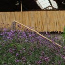 สมาชิกหมายเลข 2462203