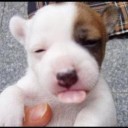 คนนี้ศรีสะเกษ