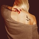 สมาชิกหมายเลข 831051