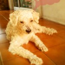 สมาชิกหมายเลข 831691