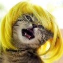 สมาชิกหมายเลข 1228311