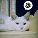 ที่หนีบกระดาษ