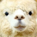 สมาชิกหมายเลข 1110137