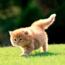 ฉันชอบผู้ชายซึน