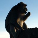 สมาชิกหมายเลข 2078808