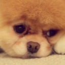 สมาชิกหมายเลข 2863684