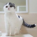 สมาชิกหมายเลข 3288300