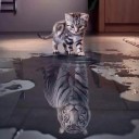 สมาชิกหมายเลข 3300726