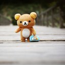 สมาชิกหมายเลข 3300809