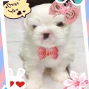 ว่ายน้ำไม่เป็น