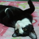 สมาชิกหมายเลข 832037