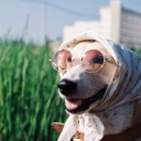 สมาชิกหมายเลข 1862123