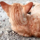 เรียมเหลือทนแล้วนั่นพี่ขวัญขาา