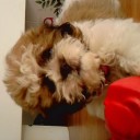 สมาชิกหมายเลข 2422071