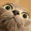 ปุ้มปุ้ยแก้มป่อง