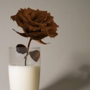 สมาชิกหมายเลข 1185840